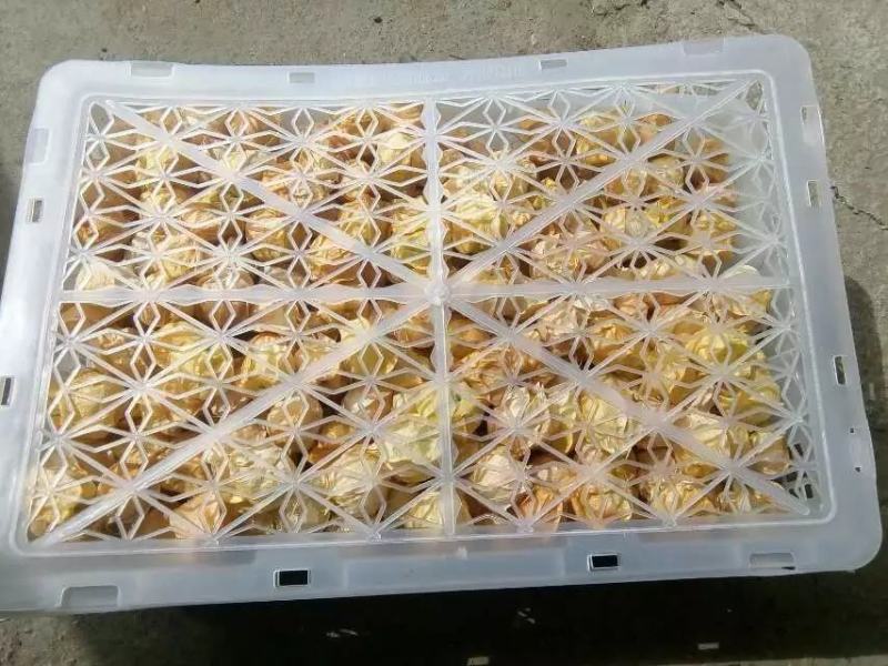 东北甜菇娘，灯笼果，黄菇娘大量上市，菇莺