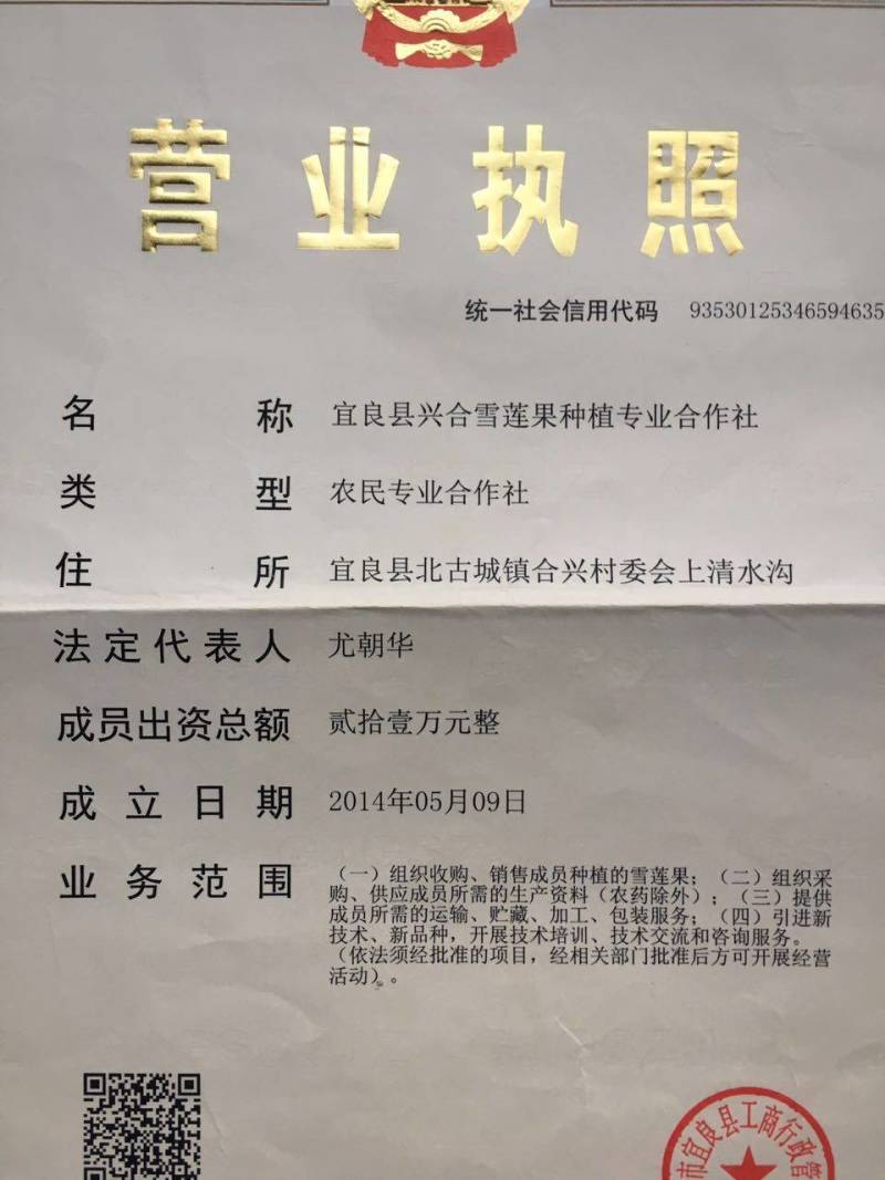 雪莲果26年新鲜上市了批发一件代发保证质量全年供应反季节