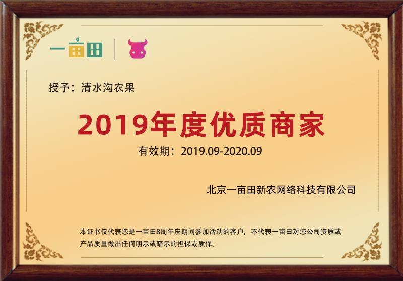 雪莲果26年新鲜上市了批发一件代发保证质量全年供应反季节