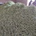 （赤峰豆角）赤峰露天蔬菜基地，大量上市，白不老，无丝豆