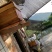 蜜蜂，蜂蜜，高山之上土蜂蜜