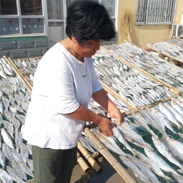 白鲢鱼是深海里的鱼肉紧实细腻蒸、炸、煎飞常不错的一款好鱼