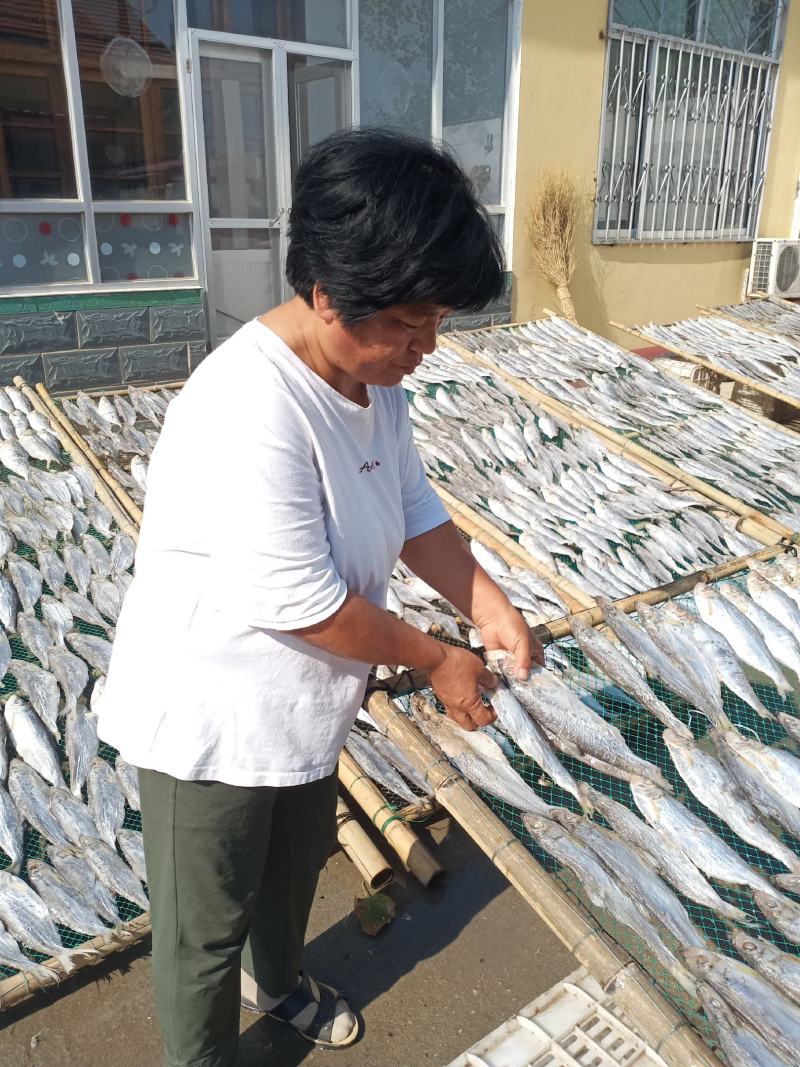 白鲢鱼是深海里的鱼肉紧实细腻蒸、炸、煎飞常不错的一款好鱼