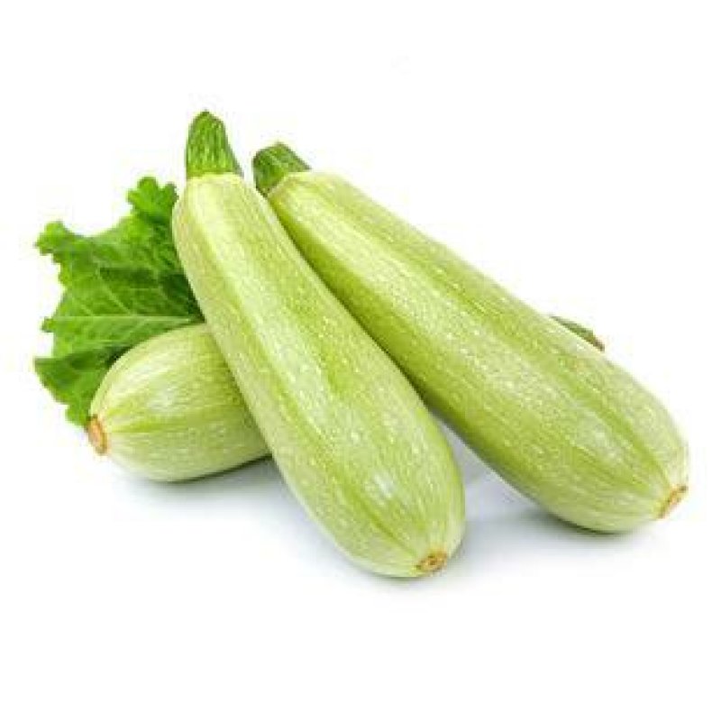 安徽大棚蔬菜保质保量包新鲜，支持看货