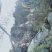 一手货源产地直销纯野生蜂巢蜜招全国代理