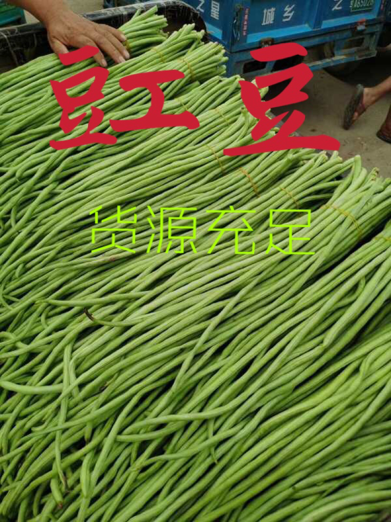 精品长豆角产地直销商超电商加工厂发货全国