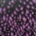 【推荐】精品广茄紫长茄条形顺质量好商超对接量大欢迎咨询