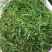 野生新鲜白花蛇舌草