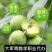 茂县青脆李李子