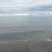 邹城丘陵山地商薯19板栗薯