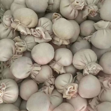 肚包肉热卖中.一斤4个左右.质量好价格低.可长期供应