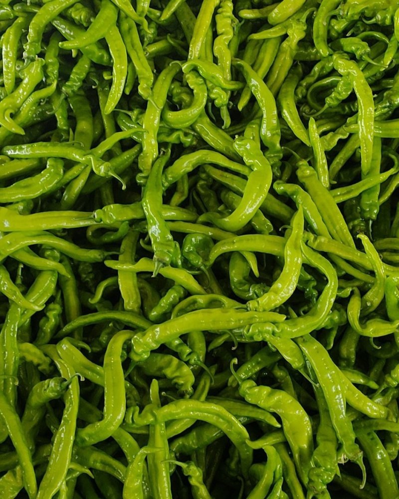 窟窿台蔬菜批发市场尖椒大量上市