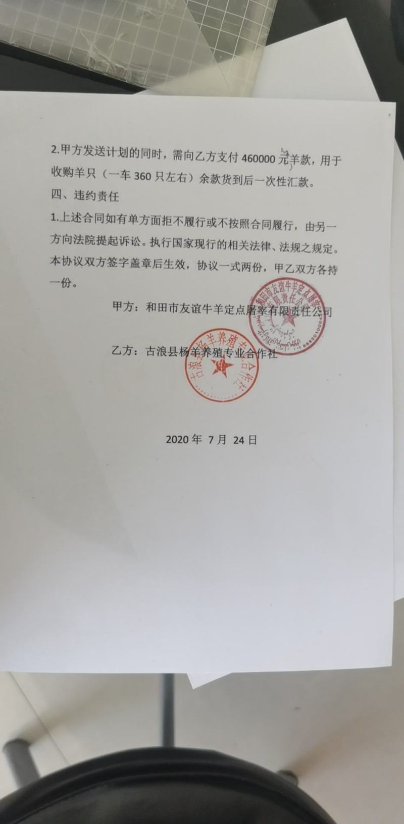 藏绵羊，青海欧拉羊，阉公，淘汰公羊，淘汰母羊屠宰养殖母羊
