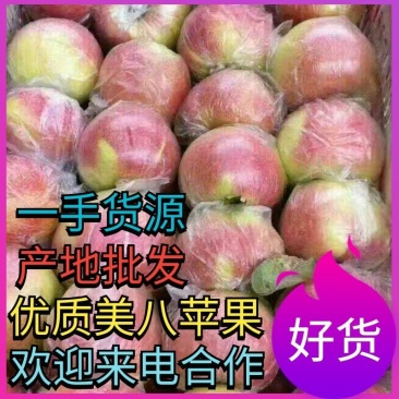 美八苹果，精品美八苹果，苹果基地批发，保质保量