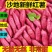 现挖红薯沙地红心蜜薯农家自种新鲜红薯香甜粉糯糖心番薯地瓜
