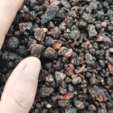 没药中药材中药树脂类