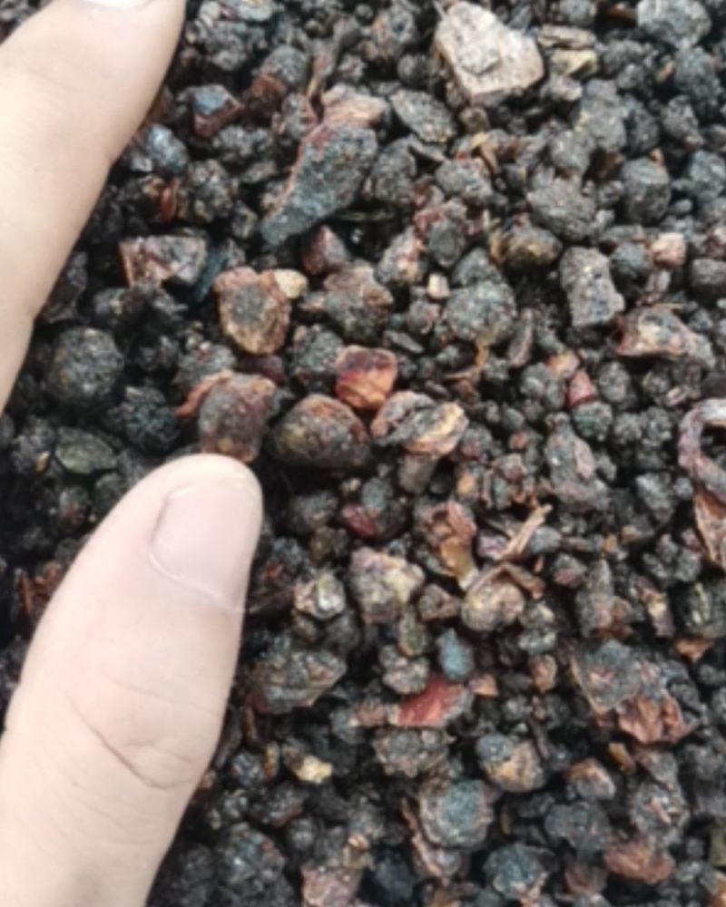 没药中药材中药树脂类