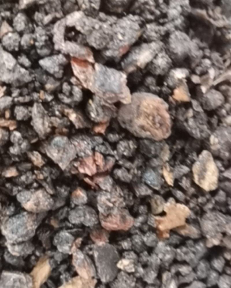 没药中药材中药树脂类