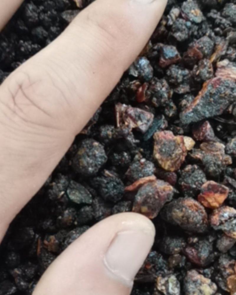 没药中药材中药树脂类
