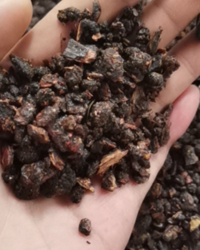 没药中药材中药树脂类