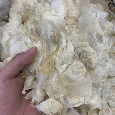 木蝴蝶选货无硫磺熏蒸一公斤起批