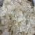 木蝴蝶选货无硫磺熏蒸一公斤起批