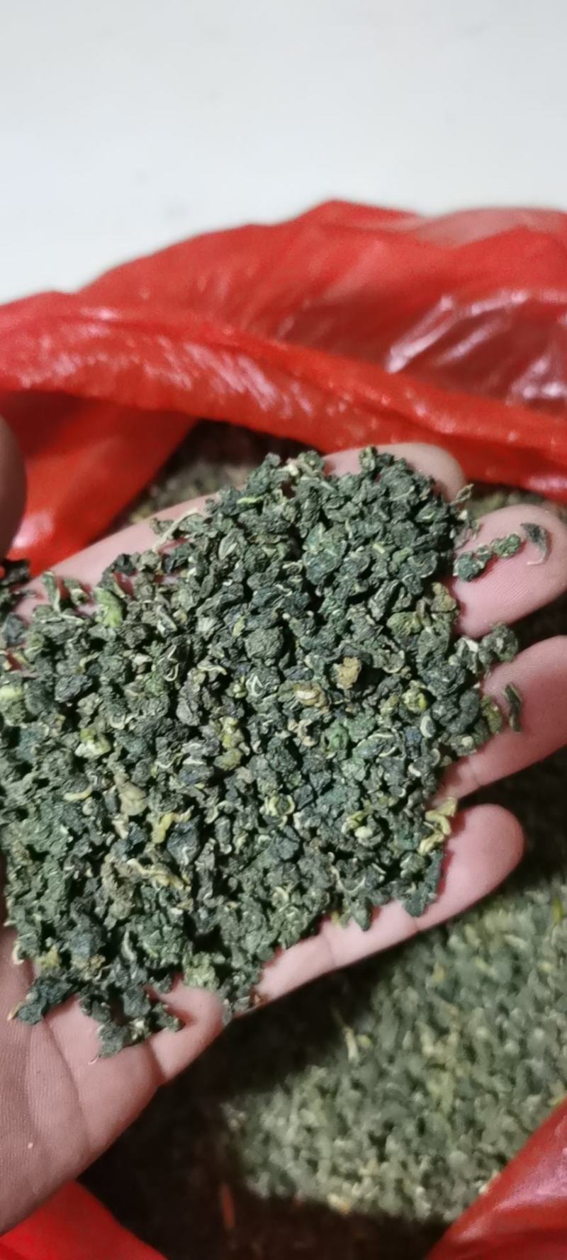 茶叶：霜后桑叶茶一手货源厂家直供