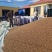 榛子生榛子野生榛子大兴安岭野生火榛子每日坚果零食