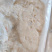 大号墨鱼纯手工制作的香味十足墨鱼胶