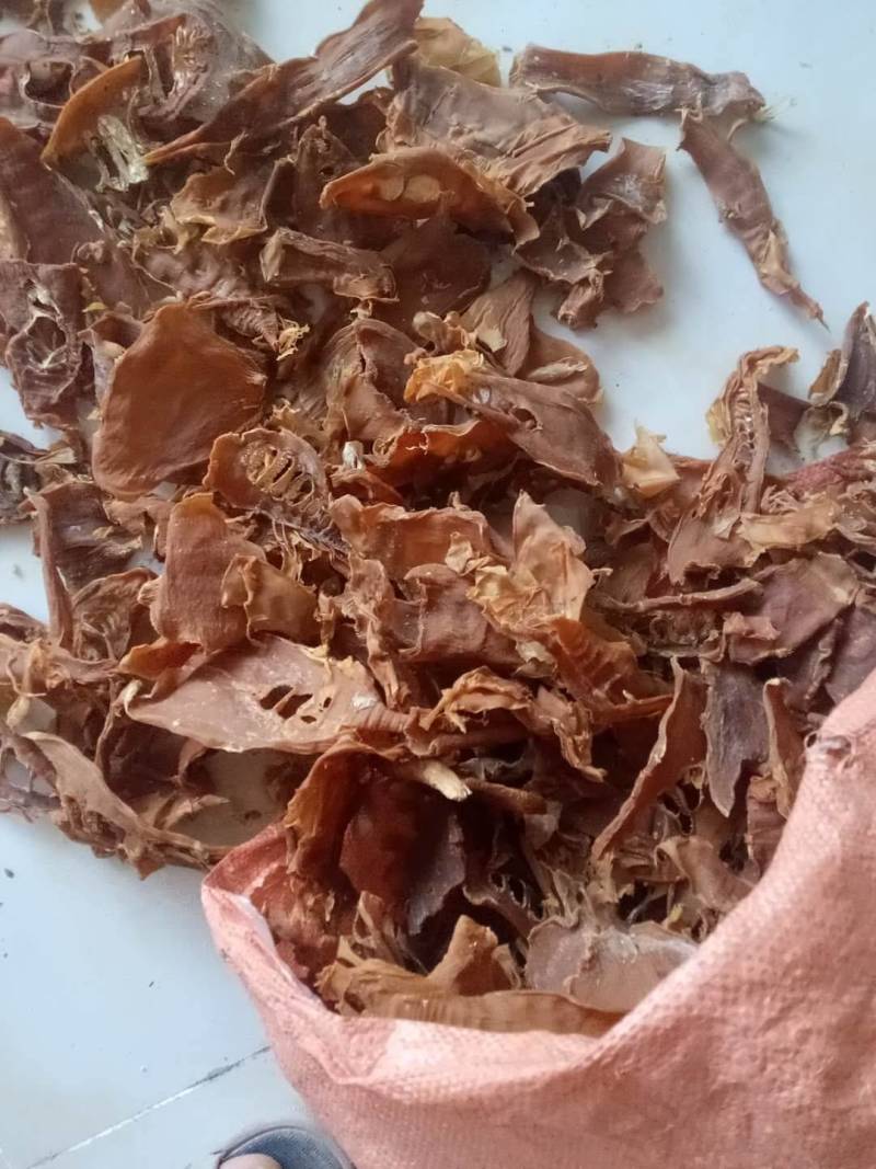 笋片天峨土特产笋片笋尖自加工干笋片