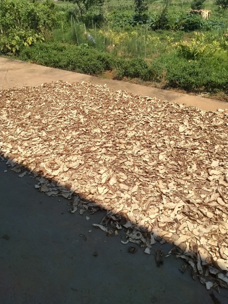 无硫萆薢片湖南货个子