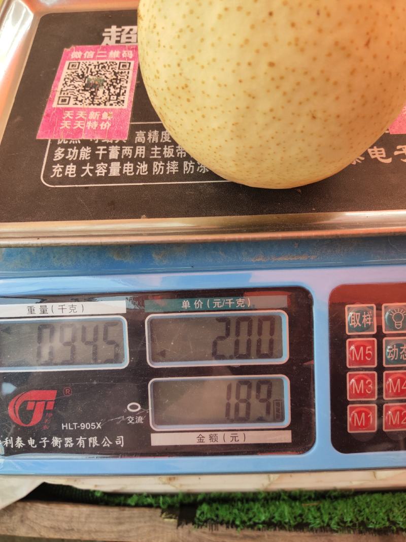 皇冠梨，酥脆可口，水分多，口感甜，到嘴自化