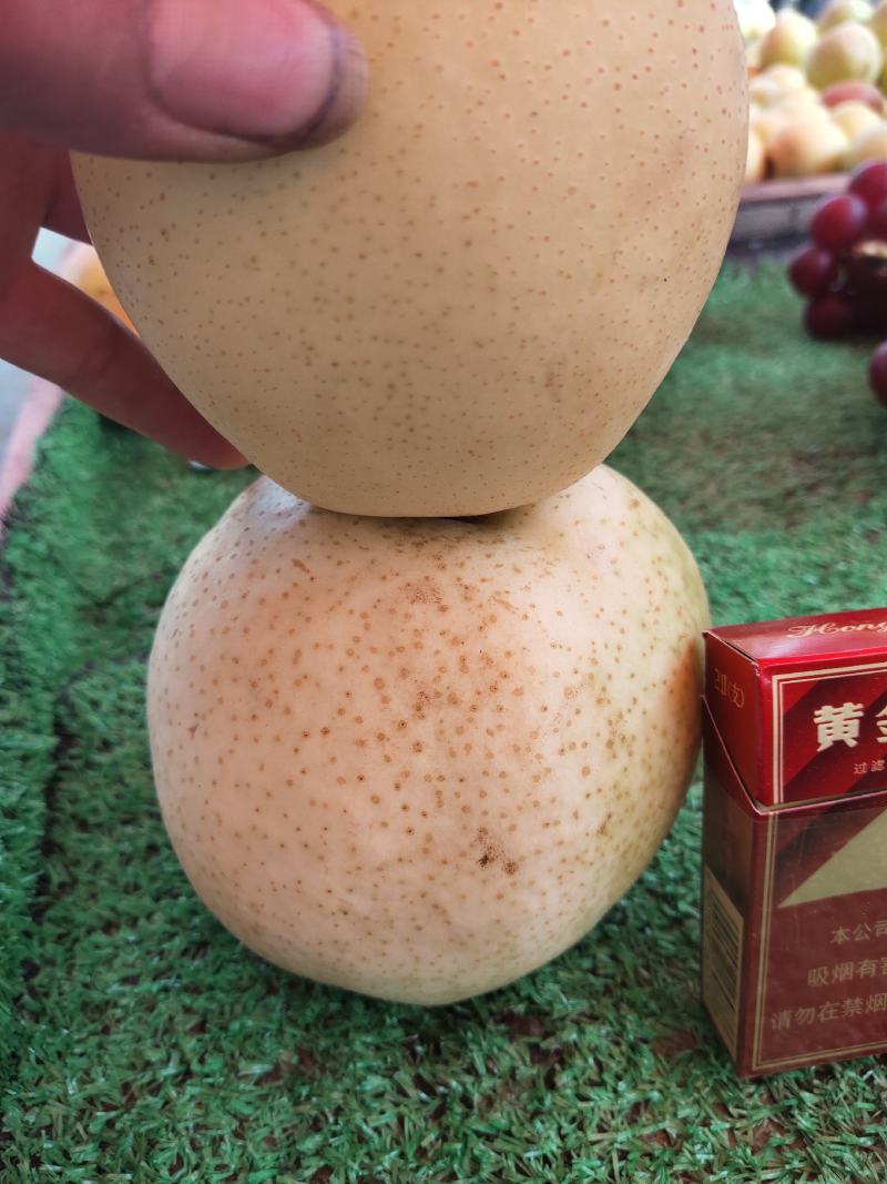 皇冠梨，酥脆可口，水分多，口感甜，到嘴自化