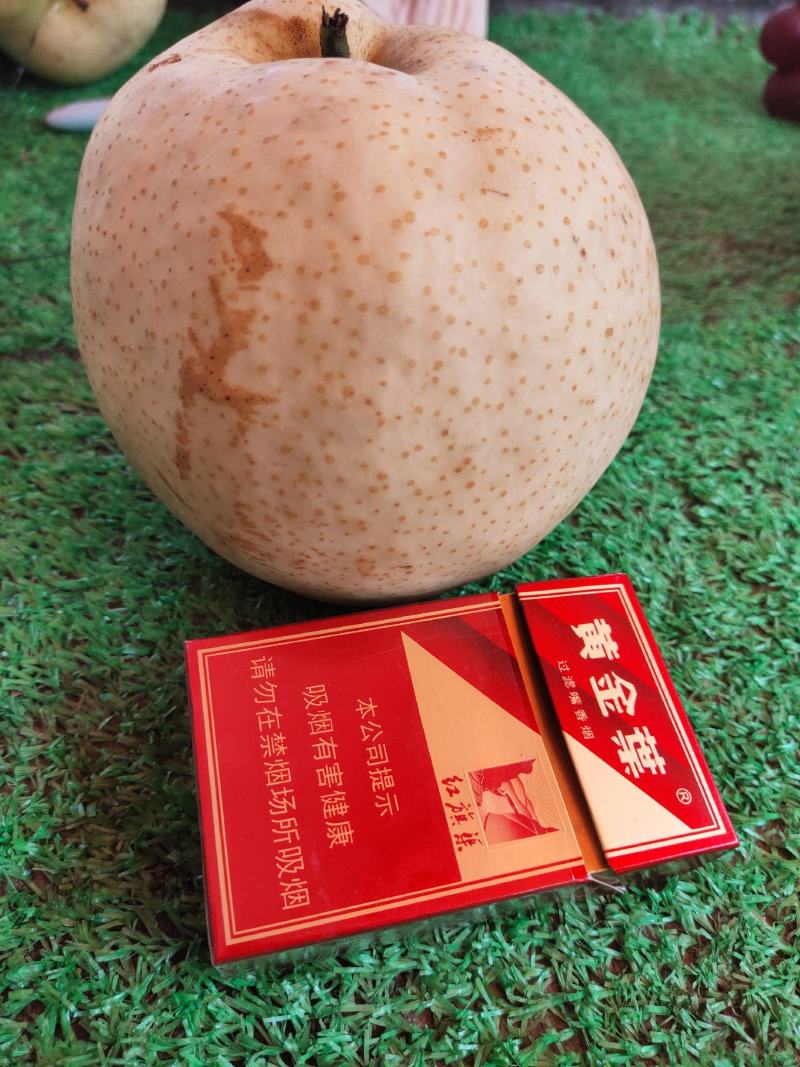 皇冠梨，酥脆可口，水分多，口感甜，到嘴自化