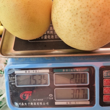 皇冠梨，酥脆可口，水分多，口感甜，到嘴自化