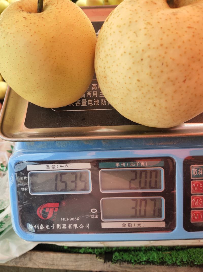 皇冠梨，酥脆可口，水分多，口感甜，到嘴自化