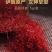 正宗伊朗藏红花，特级长丝一瓶净重5克。新疆发货，量多优惠