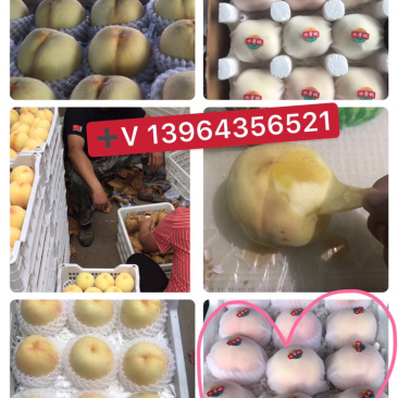 个大味美可以撕皮的水蜜桃，欢迎各大老板光临