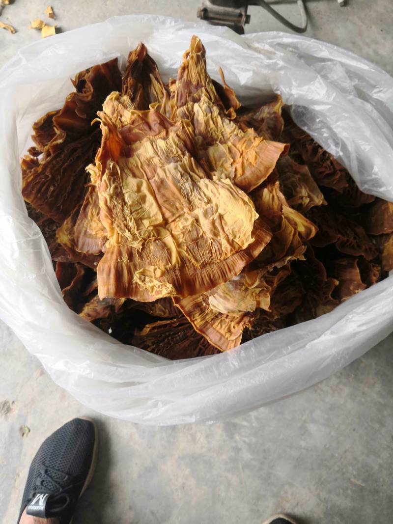 笋片天峨土特产笋片笋尖自加工干笋片