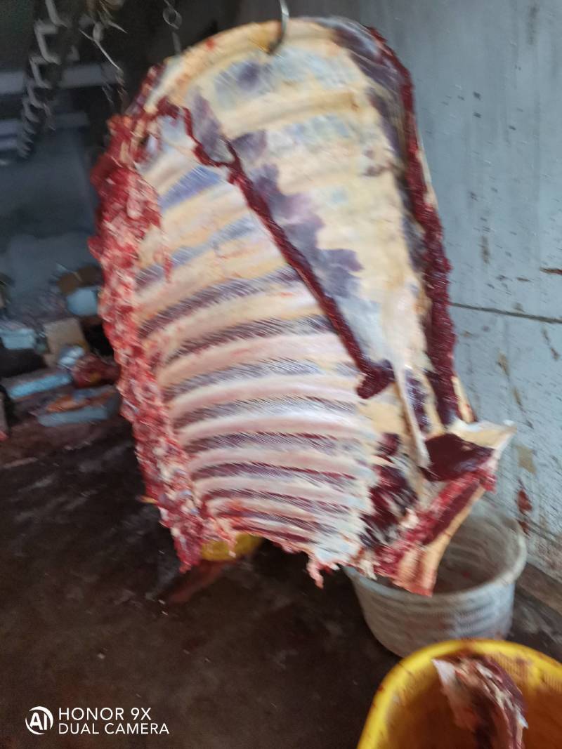 内蒙古锡林浩特草地牛排，照片实物拍摄质量保证