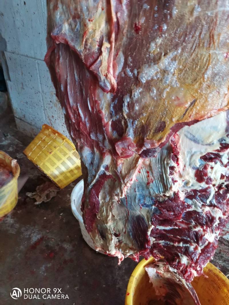 内蒙古锡林浩特草地牛排，照片实物拍摄质量保证