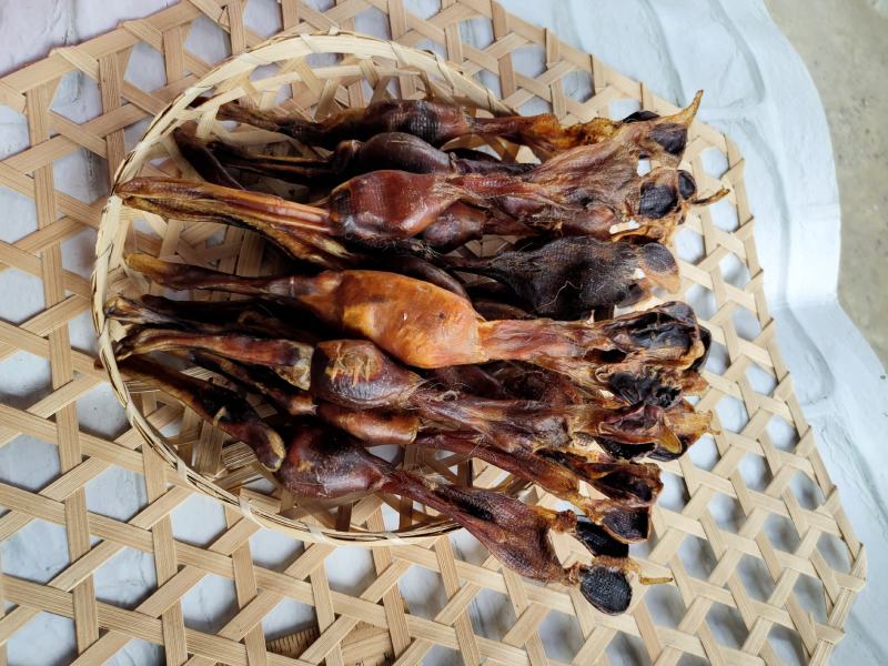 海狗鞭北海海宝广西北海特产泡酒煲汤海狗肾