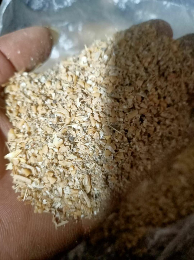 【厂家直销】碎小麦，漏麦，麦子下脚料，大量供，量大优惠