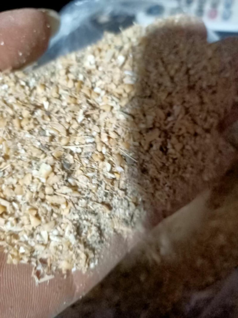 【厂家直销】碎小麦，漏麦，麦子下脚料，大量供，量大优惠