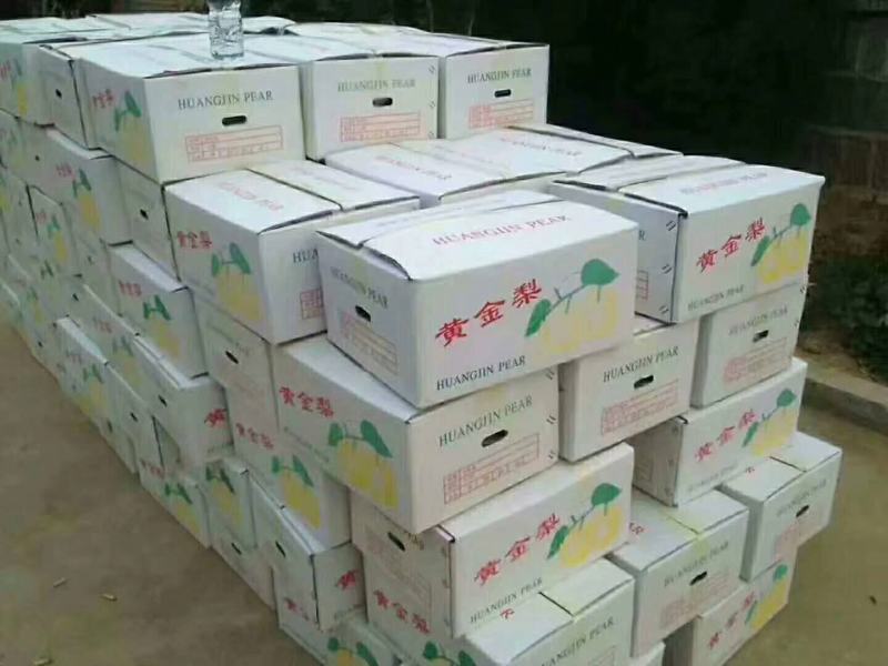 梨黄金梨丰水梨圆黄梨秋月梨产地直发低价好货脆甜多汁