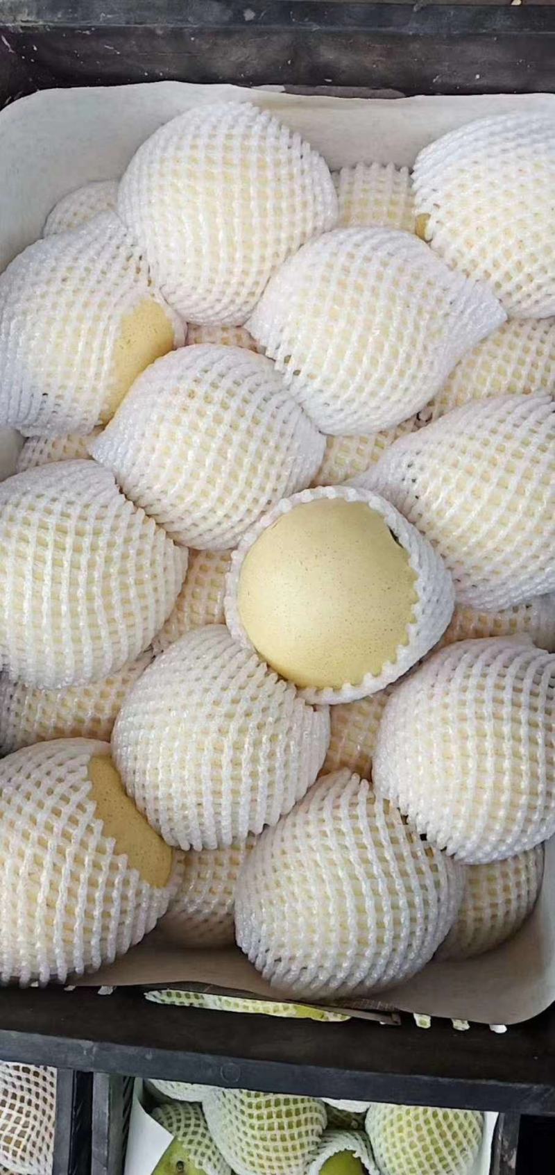 梨黄金梨丰水梨圆黄梨秋月梨产地直发低价好货脆甜多汁
