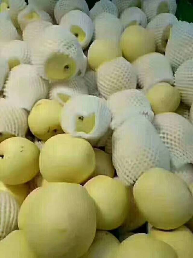 梨黄金梨丰水梨圆黄梨秋月梨产地直发低价好货脆甜多汁