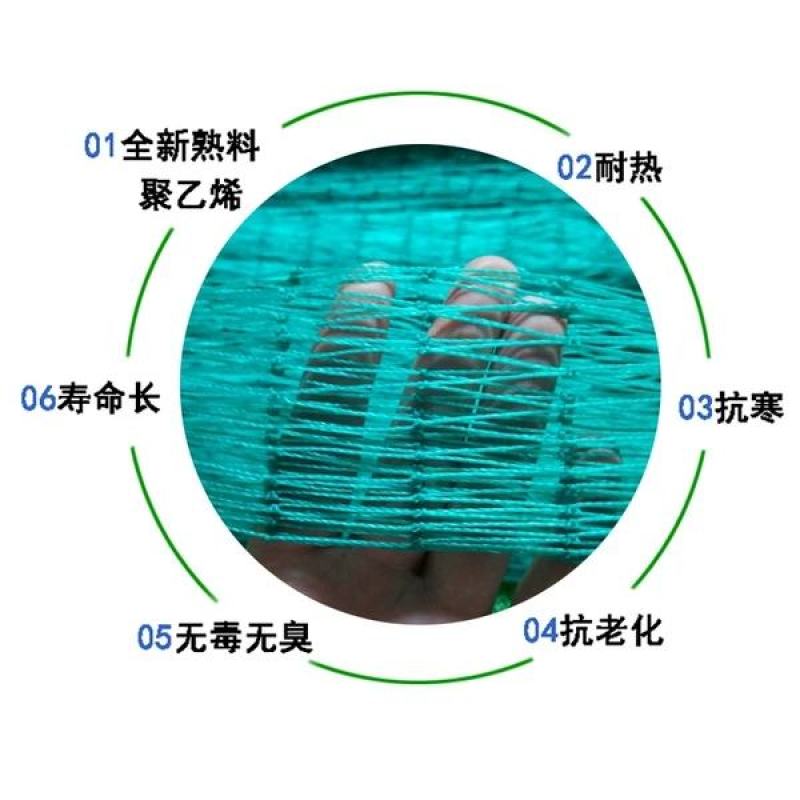 养鸡网栏鸡网围网养殖网天网顶网山鸡网防鸡网拦鸡网围栏网菜