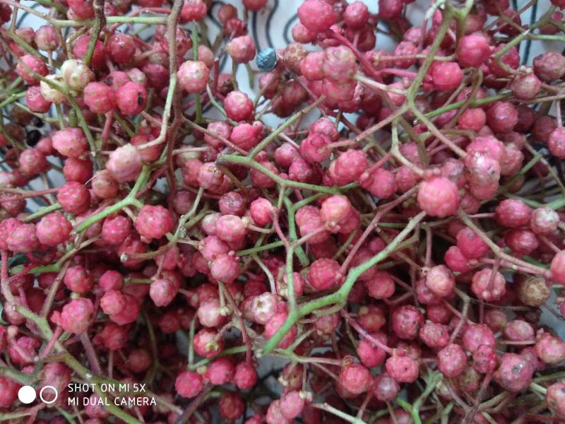 【新品好货】花椒，特级花椒，正宗野生花椒，味香麻，暗红色