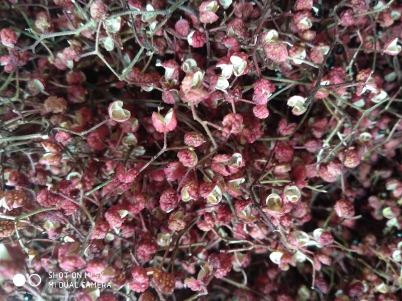 【新品好货】花椒，特级花椒，正宗野生花椒，味香麻，暗红色